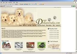 Dogs Domain India