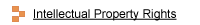 Intellectual Property Rights(IPR), Controls All IT Requirments...